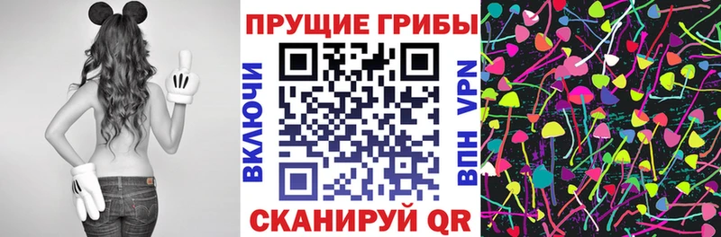 где купить наркоту Нариманов Галлюциногенные грибы MAGIC MUSHROOMS
