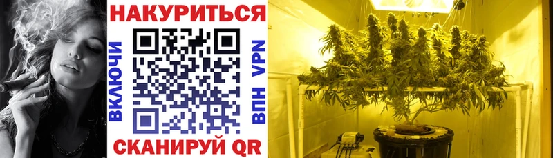 Каннабис семена  Нариманов 